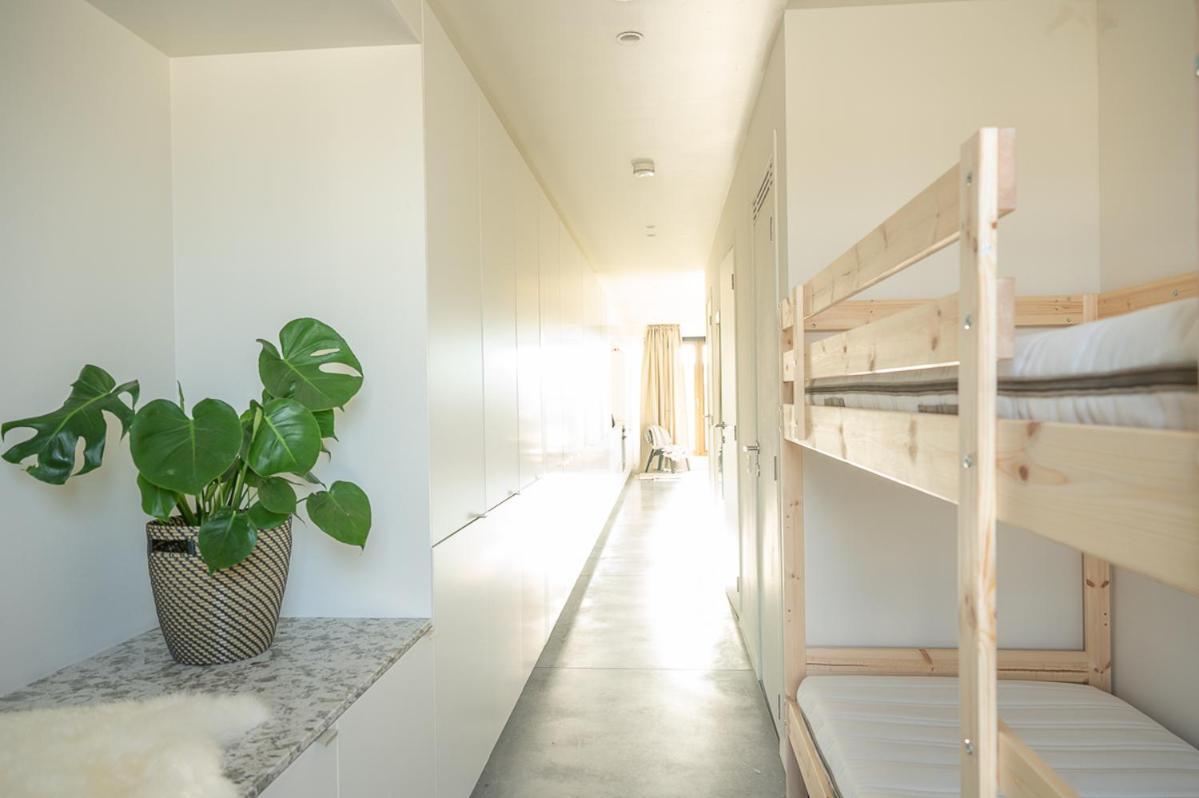 Trendy Apartments As Base To Discover 헨트 외부 사진