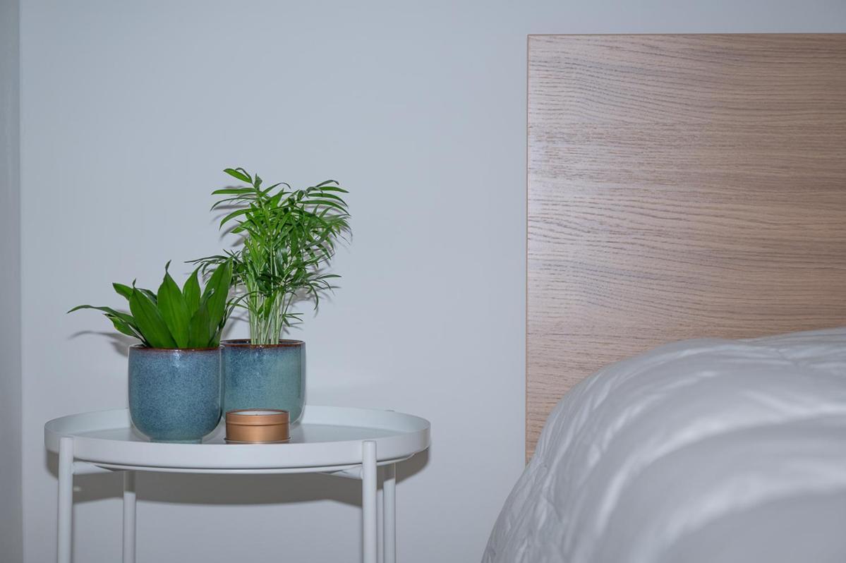 Trendy Apartments As Base To Discover 헨트 외부 사진