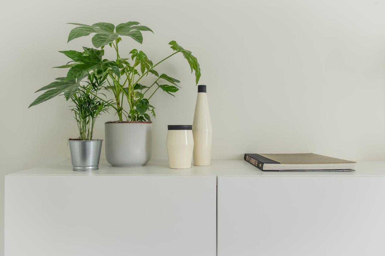 Trendy Apartments As Base To Discover 헨트 외부 사진